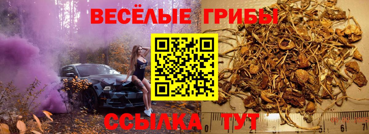 Биробиджан  Псилоцибиновые грибы Psilocybe  Галлюциногенные грибы GOLDEN TEACHER  Вход с VPN 