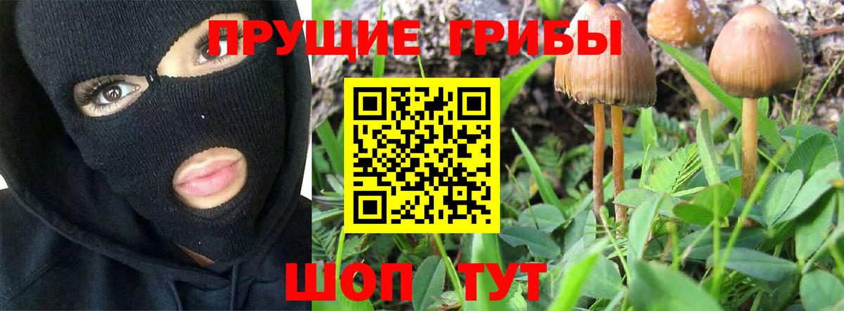Псилоцибиновые грибы ЛСД Биробиджан